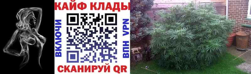 Купить наркотики сайты Тында КОКАИН A-PVP Меф