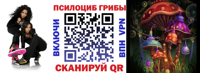 что такое наркотик Тында Галлюциногенные грибы прущие грибы